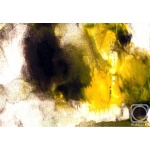 ������� ����������