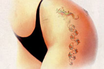 tatu3.jpg
