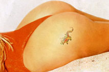 tatu4.jpg
