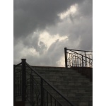 (3)<br>������� ��������