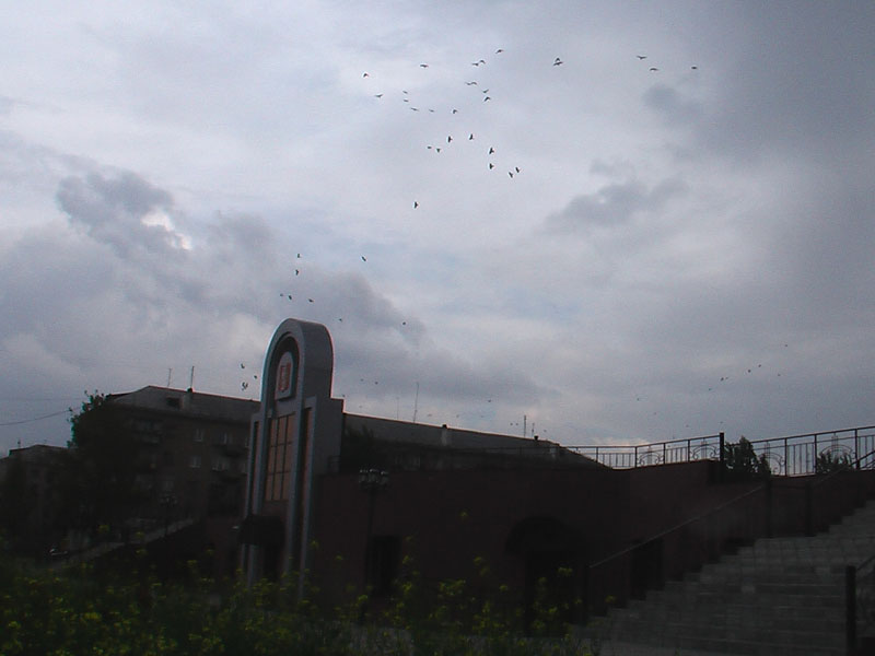 (1)<br>������� ��������